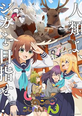 日韩亚洲AV无码三区二区不卡海报